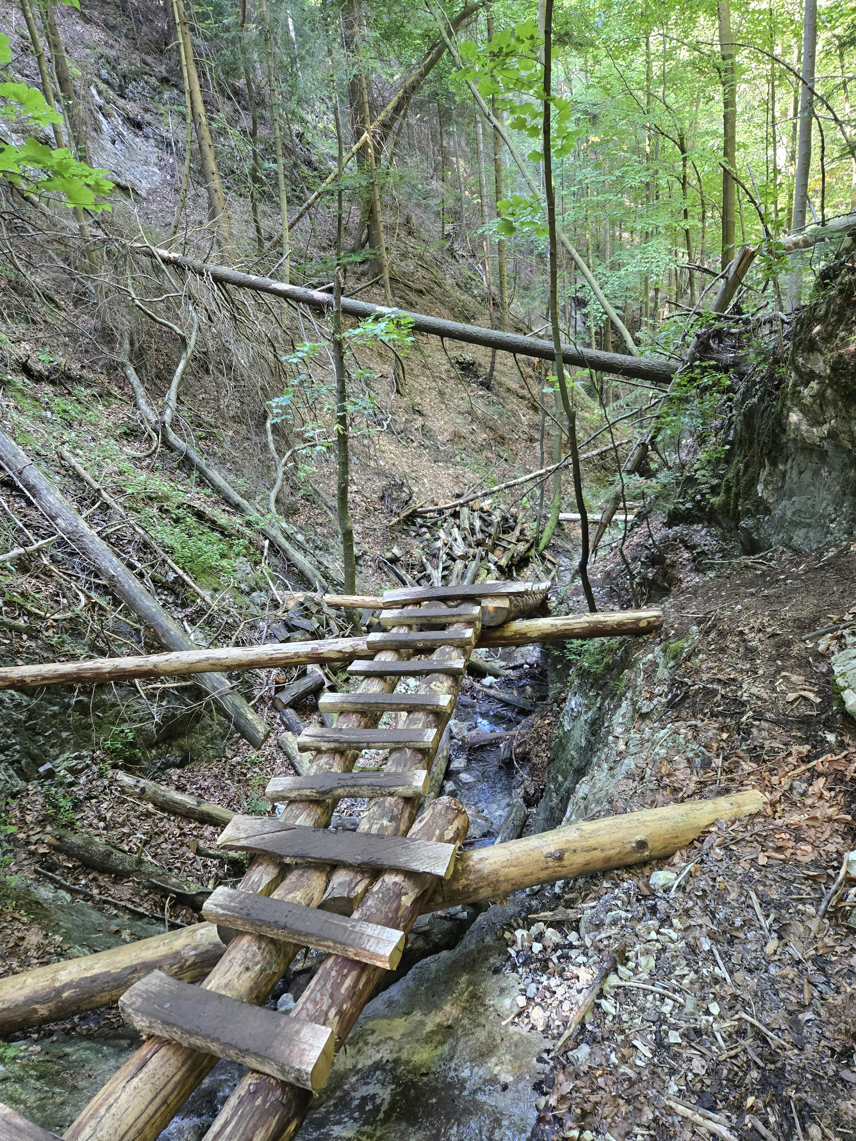 La traversée