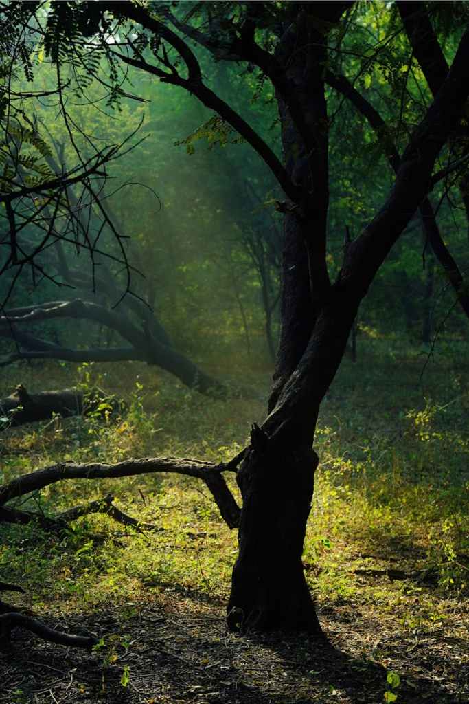 La beauté des&nbsp;paysages