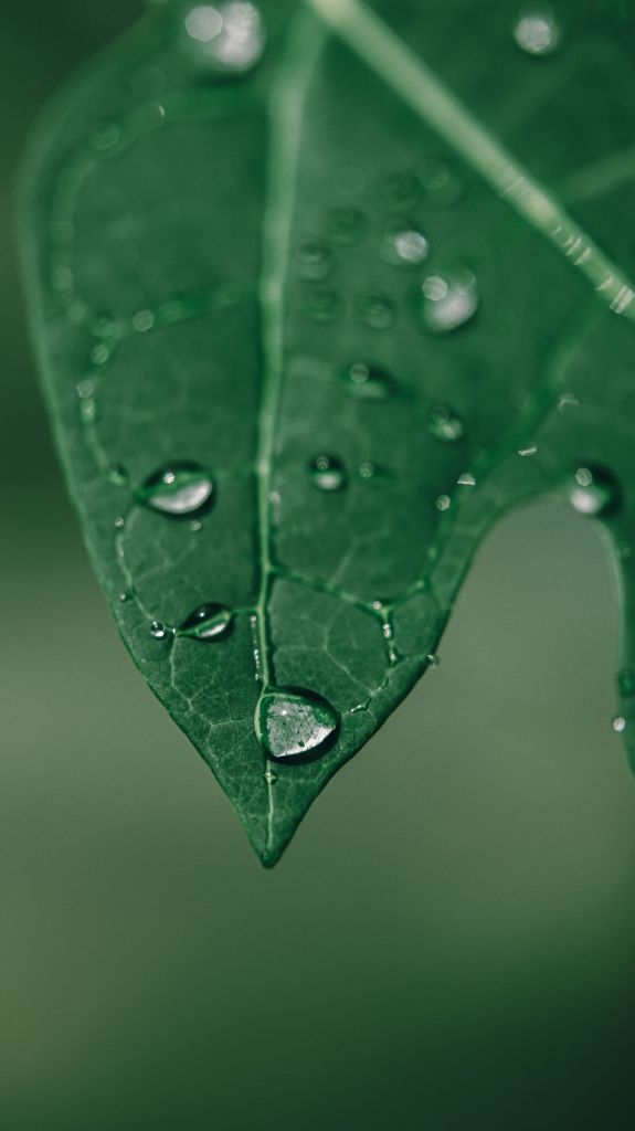 L&rsquo;ÂME ET LA GOUTTE&nbsp;D&rsquo;EAU