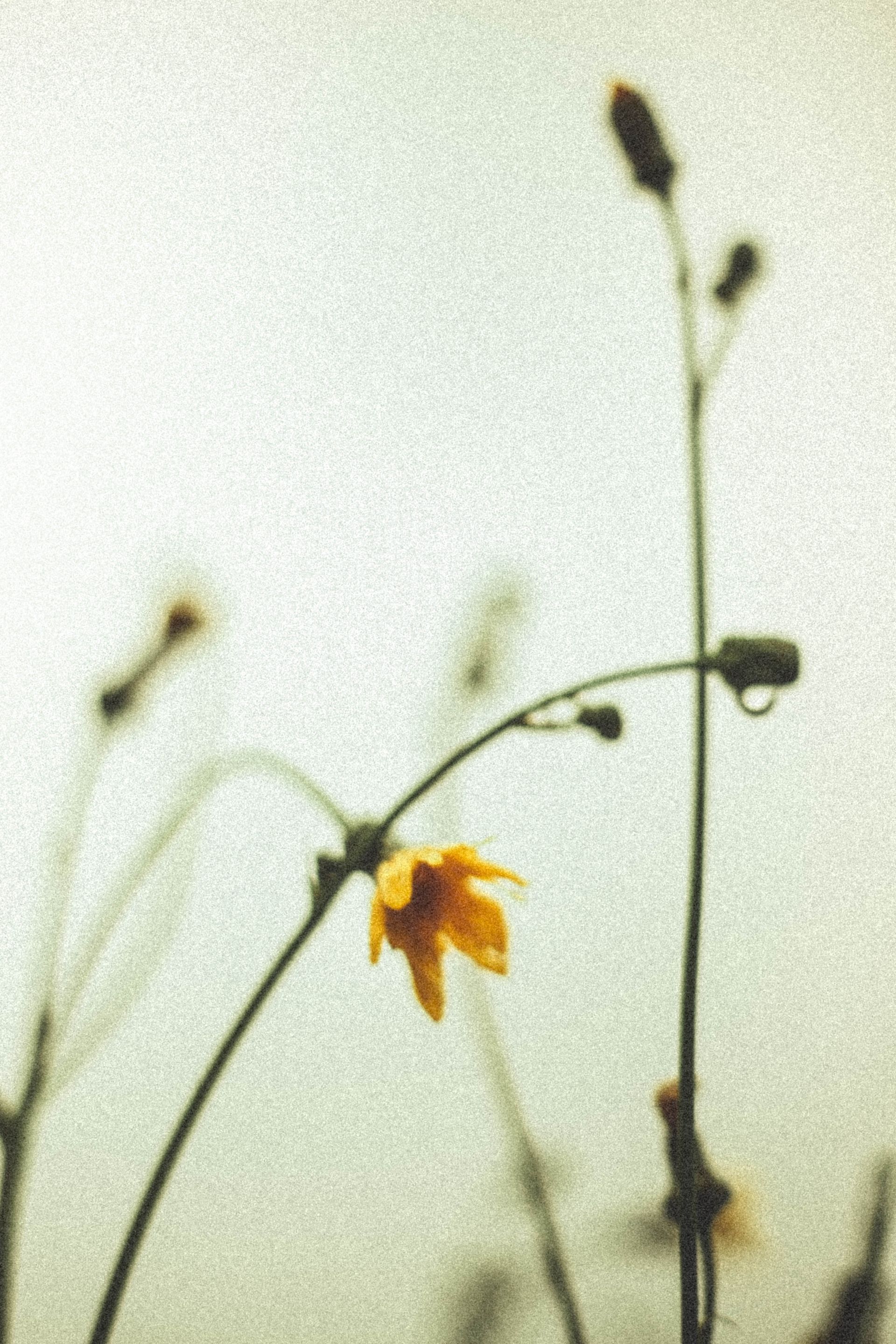 Au petit matin