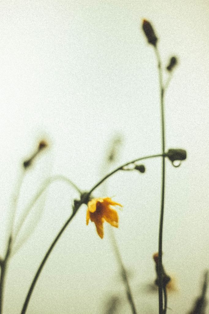 Au petit matin