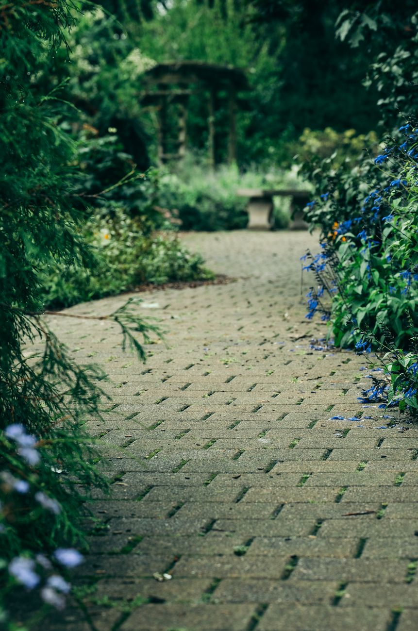 tranquil garden pathway with lush greenery